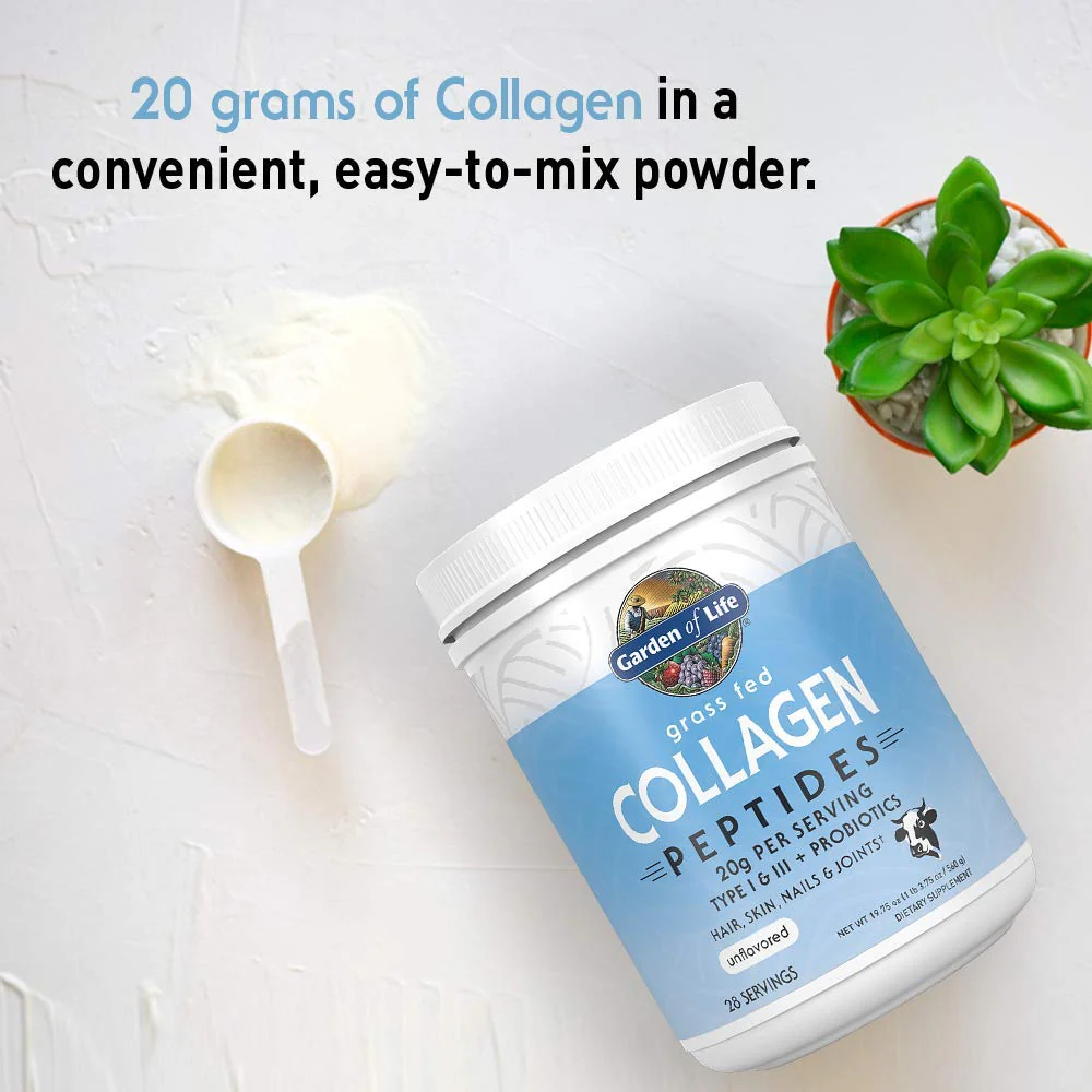 Garden of Life Grass Fed Collagen Peptides Powder Unflavored Collagen Powder for Women Men Hair Skin Nails Joints, Hydrolyzed Collagen Protein Supplements, Collagen for Women & Men, 28 Servings - Image 3