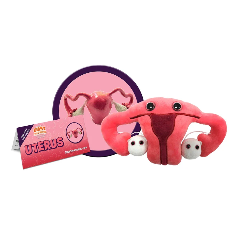 GIANTmicrobes Uterus Plush - Adorable Educational Gift, Detachable Ovaries, Get Well/Medical Health/OBGYN/Surgery/Hysterectomy/Gynecologist Education/Endometriosis/Fertility Gift - Image 2