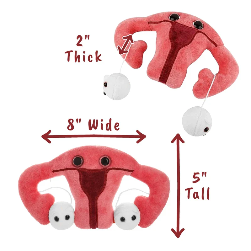 GIANTmicrobes Uterus Plush - Adorable Educational Gift, Detachable Ovaries, Get Well/Medical Health/OBGYN/Surgery/Hysterectomy/Gynecologist Education/Endometriosis/Fertility Gift - Image 3