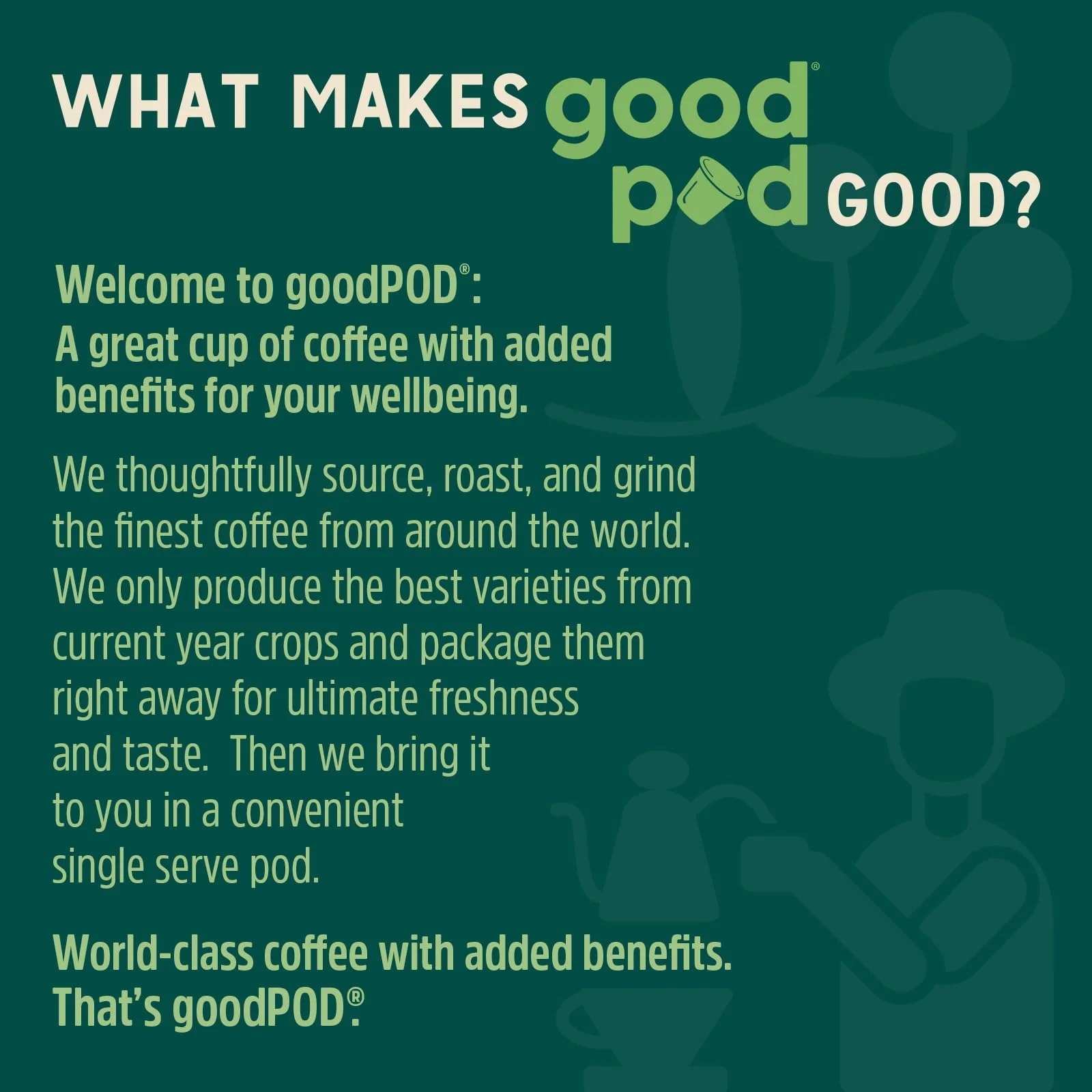 goodPOD Low Caffeine Blend Single Serve Coffee K Cup Pods, Organic Arabica Coffee, Medium Roast, 12 Count - Image 2