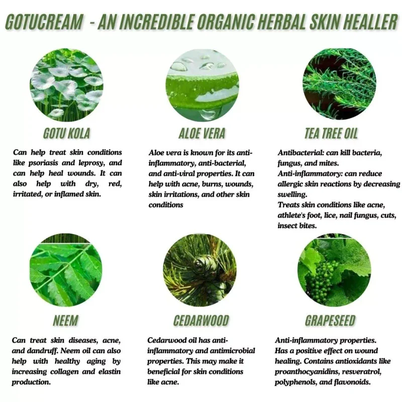 Gotucream 2oz Jar ~ Organic Healing Cream ~ New Made in Scotland. - Image 4