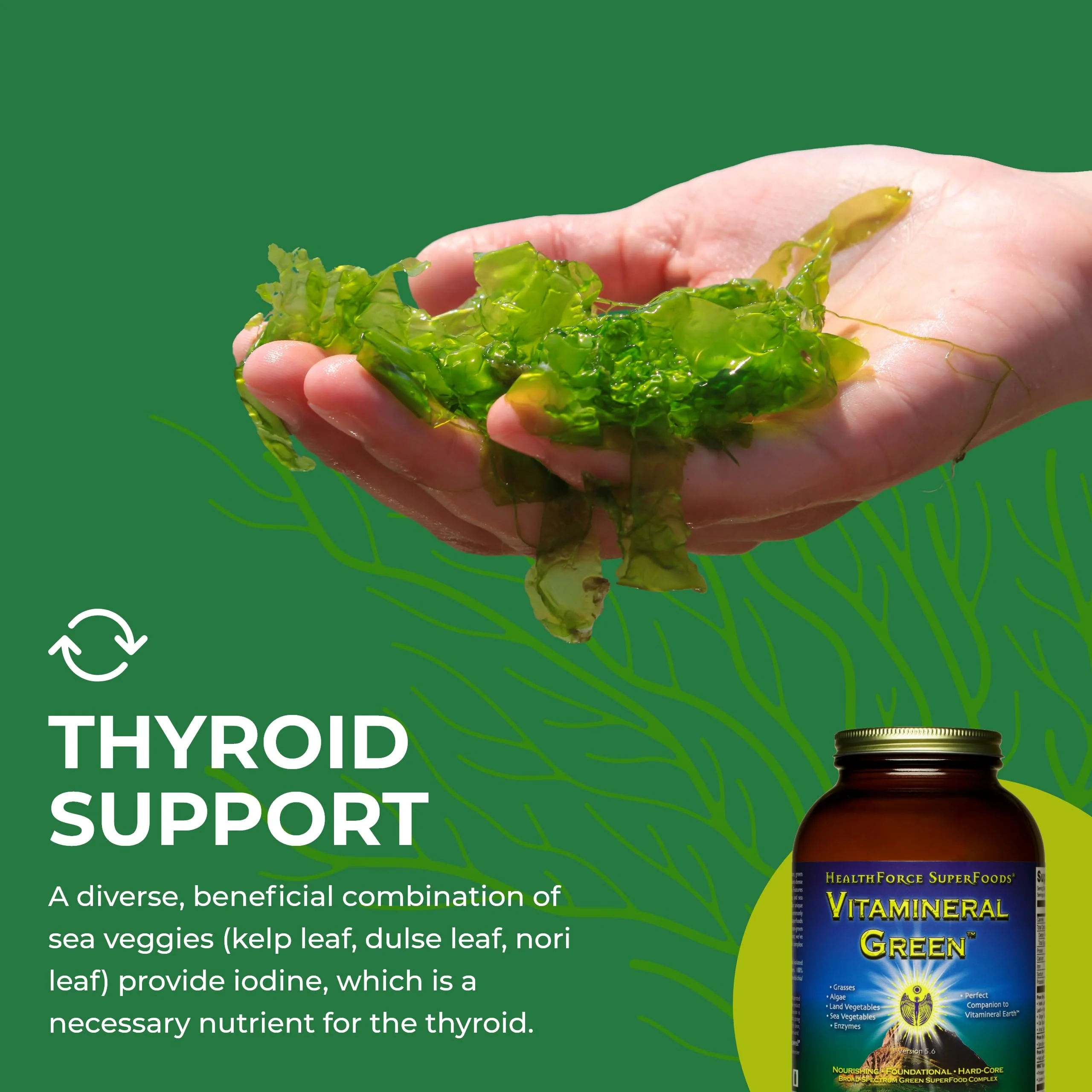 HEALTHFORCE SUPERFOODS Vitamineral Green - Mineral Supplement for Immune & Thyroid Support - Green Powder Supplement with Ingredients from The Land - Gluten-Free & Vegan - 500 Grams - Image 4