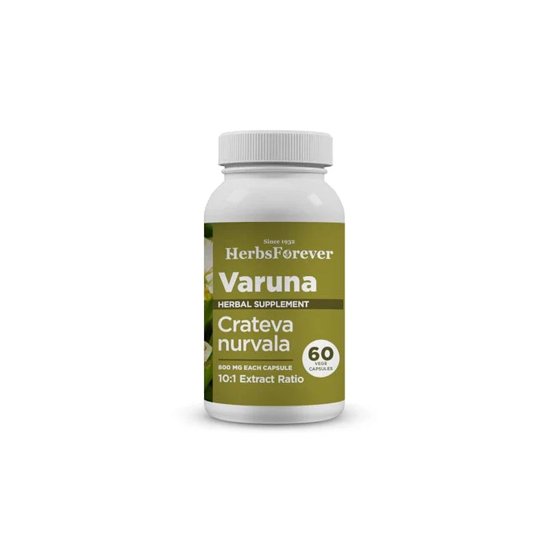 Herbsforever Varuna Capsules - Crataeva Nurvala - 10:1 Extract Ratio - 60 Vege Capsules (800 mg Each) - Image 2