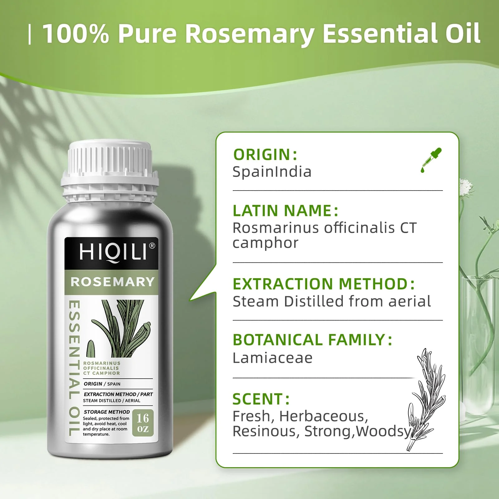 HIQILI Rosemary Oil for Hair Growth, Add to Shampoo & Conditioner, 100% Pure Undiluted - 16 Fl Oz - Image 3