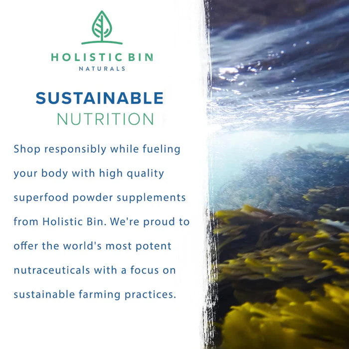 Holistic Bin Marine Phytoplankton Powder Naturally Grown in Nordic Seawater | Vegan Omega 3 Supplement | Rich in Amino Acids, Chlorophyll, Vitamins, & Trace Minerals (50g) - Image 3