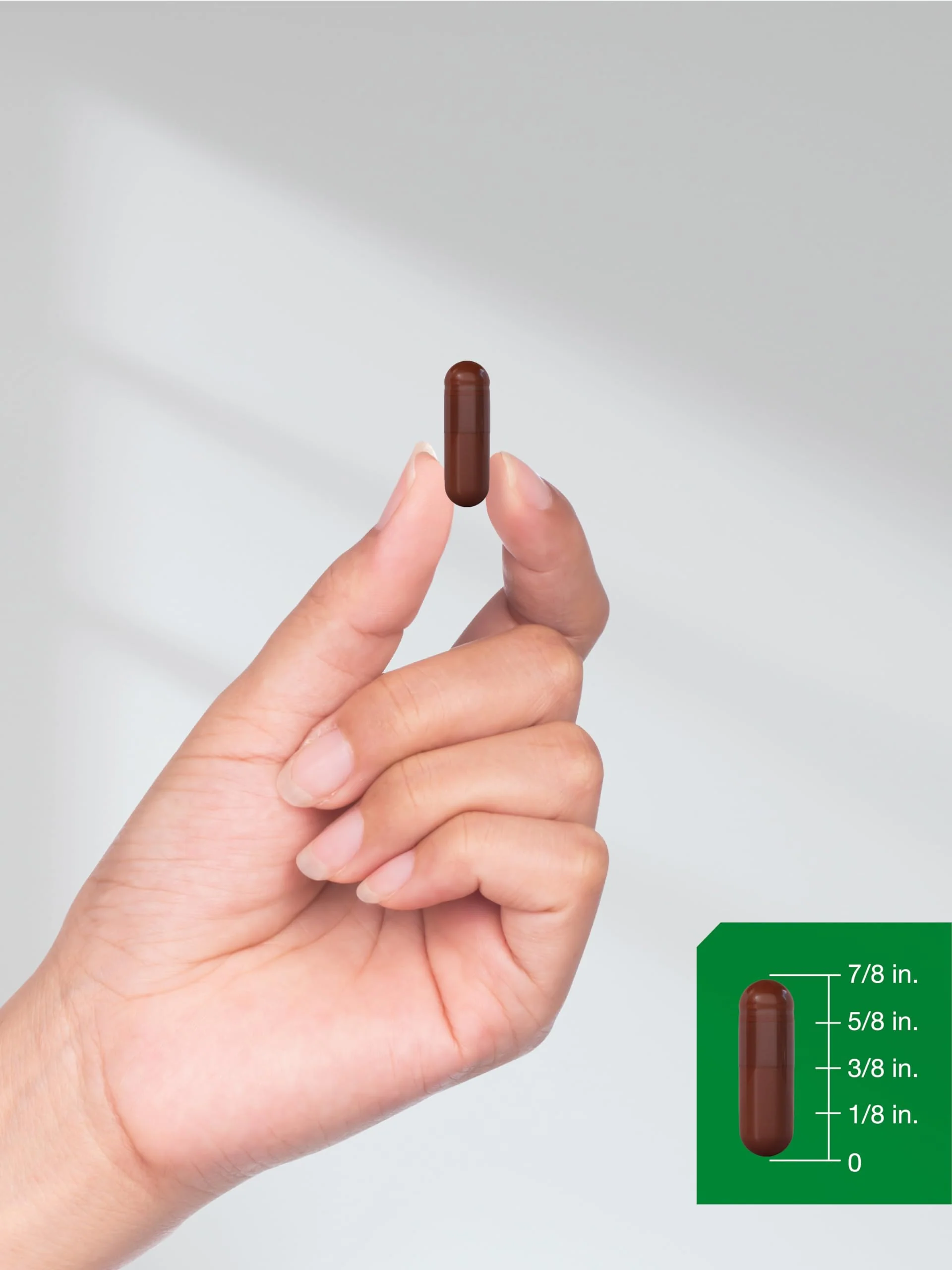 Horbäach Pine Bark Extract | 6000 mg | 180 Capsules | Standardized to Contain 75% Proanthocyanidins | Non-GMO, Gluten Free Supplement | High Potency - Image 2