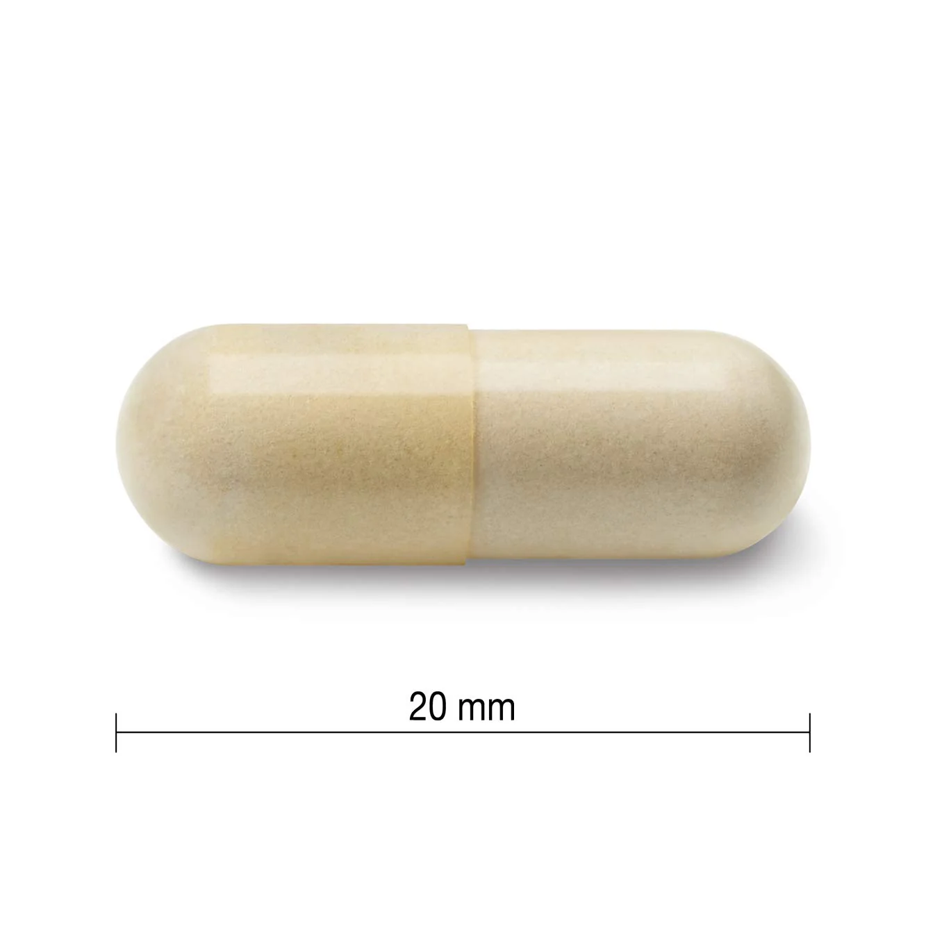 Jamieson Glucosamine Sulfate 500mg 360 Capsules - Image 4