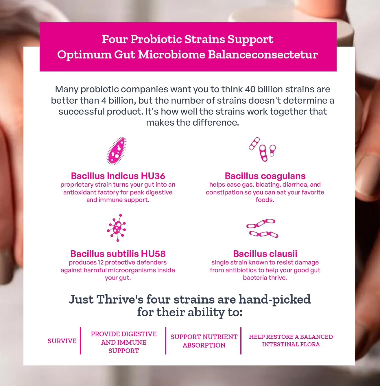 Just Thrive Probiotic & Antioxidant Supplement - 100% Spore-Based Digestive and Immune Support - Gluten Free, 90 Caps - Image 2