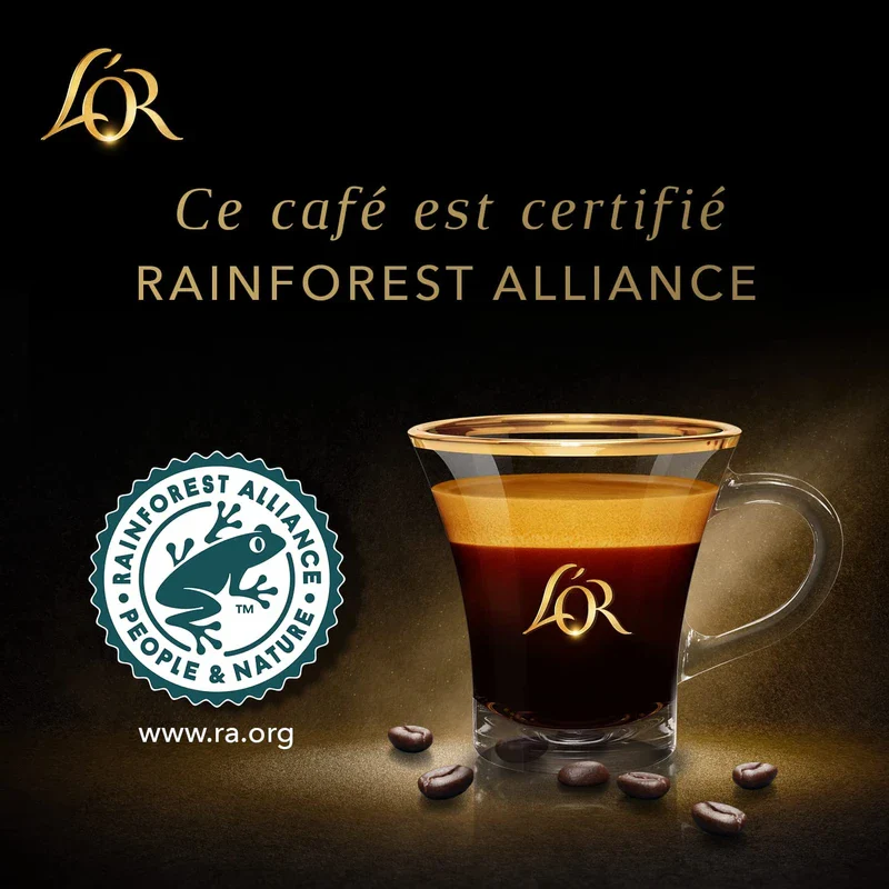L'OR Favourites Assortment Nespresso Compatible Coffee Pods (Pack of 8, Total 80 Drinks) - Image 5
