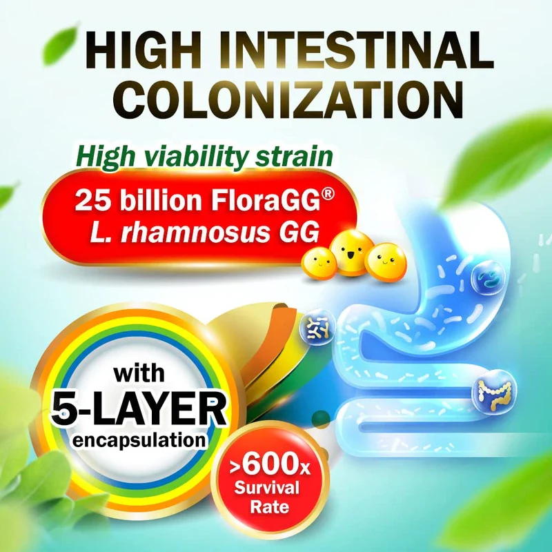 LABO Nutrition FloraGG, Lactobacillus Rhamnosus GG 25 Billion CFU Active Probiotics & Sunfiber Prebiotic Fiber Supplement, Support Healthy Intestinal, Immune Health Delayed Release & Gluten Free 60sx2 - Image 5