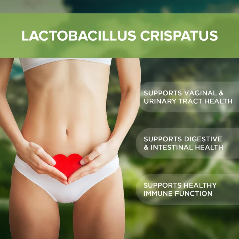 Lactobacillus Crispatus Probiotic Supplement 240 Tablets 3 Billion CFU Probiotics for Men & Women Supports Vaginal Digestive & Gut Health Made in The USA (240, Lactobacillus Crispatus) - Image 2