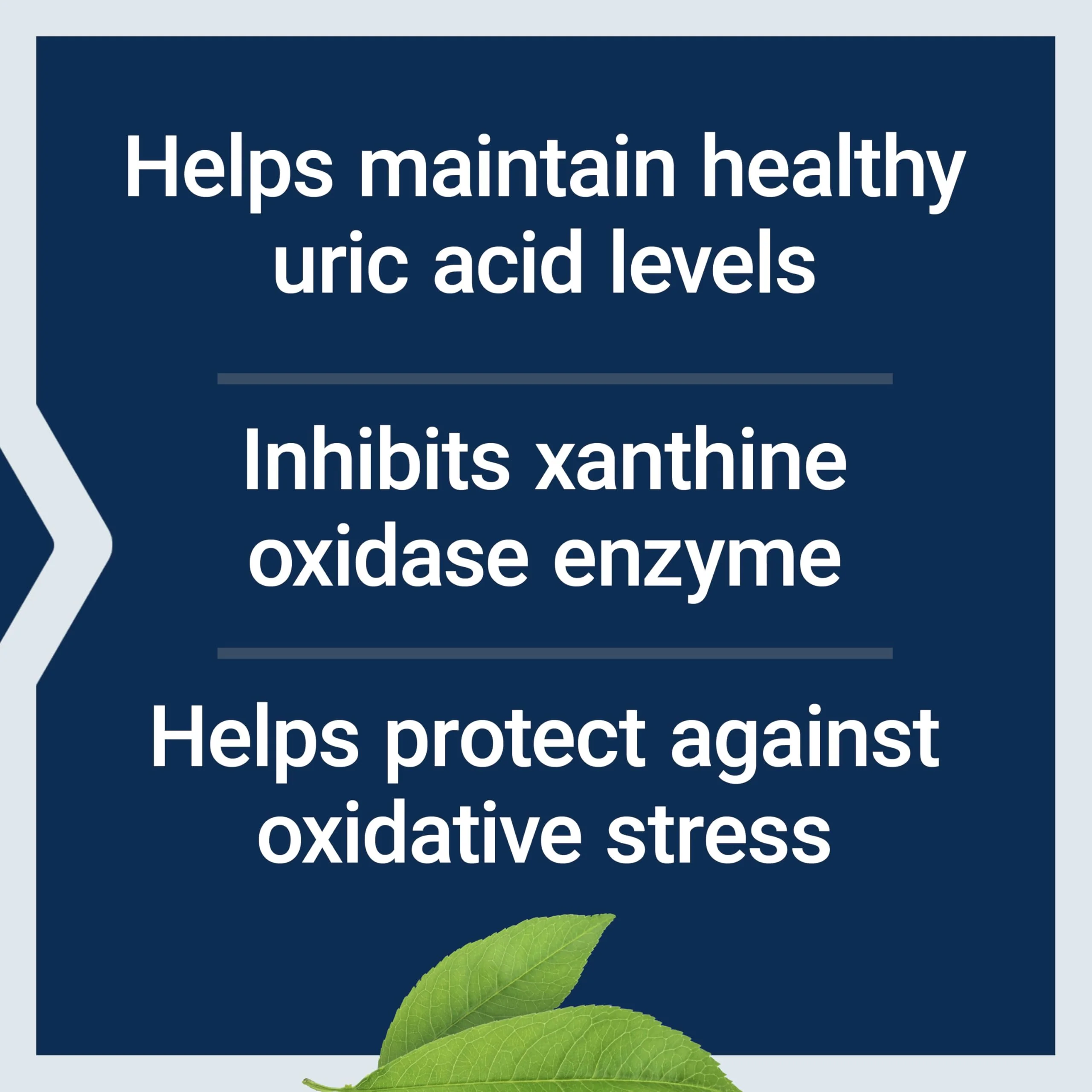 Life Extension Uric Acid Control, Promotes Healthy uric Acid Balance, Joint Health, discomfort Relief, Gluten Free, Non-GMO, Vegetarian, 60 Capsules - Image 7