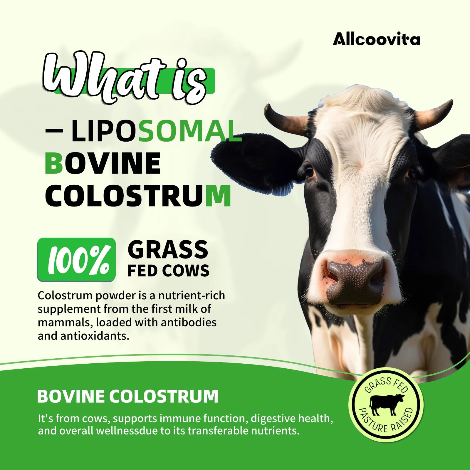 Liposomal Bovine Colostrum Powder - Pure Bovine Colostrum for Humans - Grass Fed Colostrum Supplement for Gut Support, Immune Health and Hair Growth,72 Servings per Bottle.180g/6.35 oz - Image 7