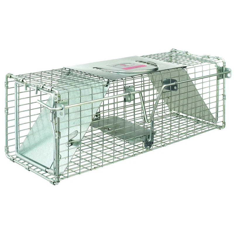 Little Giant Double Door Live Trap Double-Door Entry Live Animal Trap (18.75 x 7 x 6.5 in) (Item No. DDLT1)
