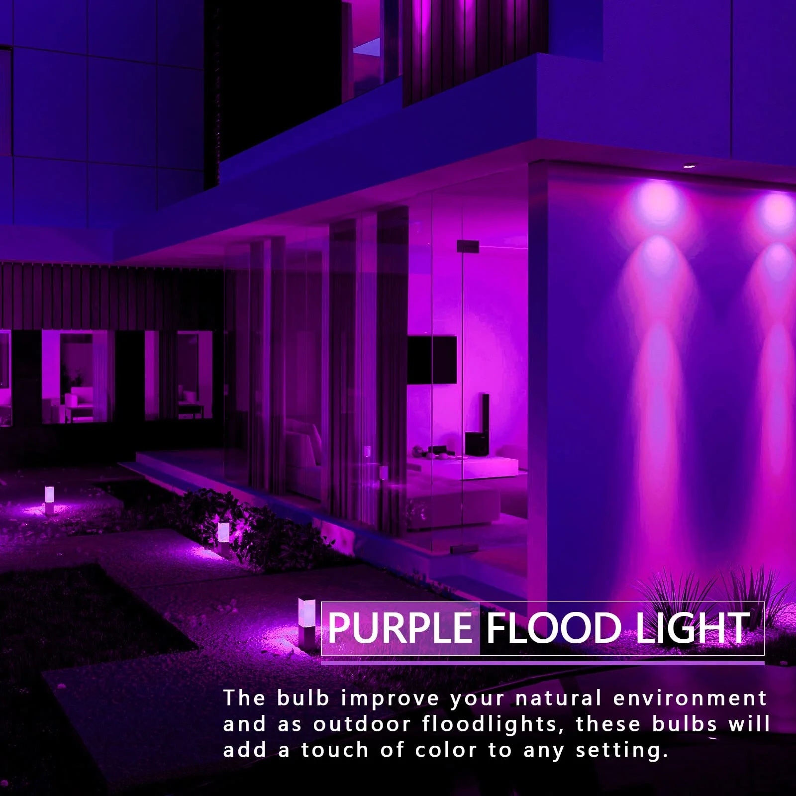 LOXYEE PAR38 Flood Purple Light Bulbs,4 Pack Dimmable,E26 Base Purple Flood Light Outoor(20W Replace to 200W),Halloween Light Bulb for Outside,Christmas,Holiday Lighting - Image 2