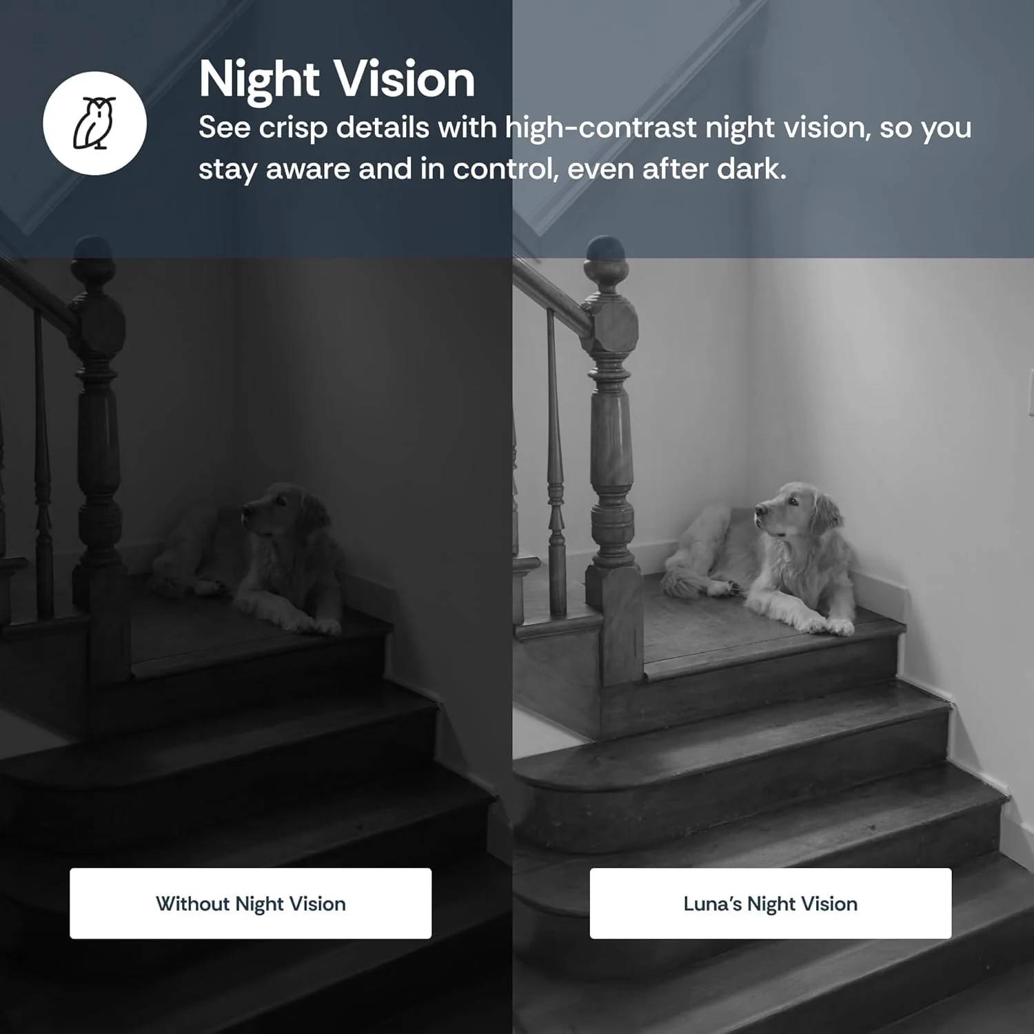 Luna Cameras for Home Security Indoor, Advanced AI Motion Detection, 360° Pan/Tilt, Plug-in, Night Vision, 2.4GHz Wi-Fi, 2-Way Audio, Nanny Pet Dog Camera with Phone App (Black) - Image 6