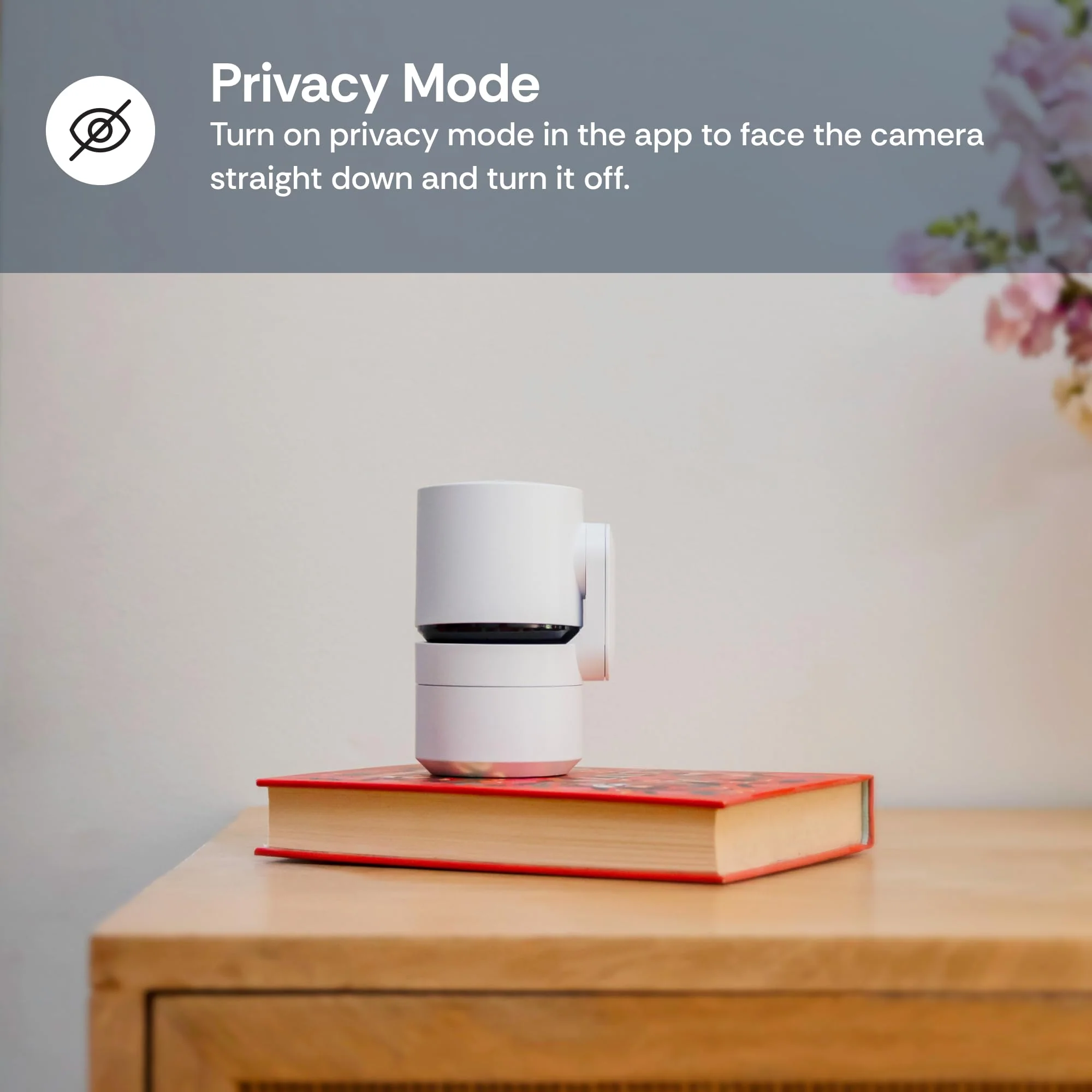 Luna Cameras for Home Security Indoor, Advanced AI Motion Detection, 360° Pan/Tilt, Plug-in, Night Vision, 2.4GHz Wi-Fi, 2-Way Audio, Nanny Pet Dog Camera with Phone App (Black) - Image 8