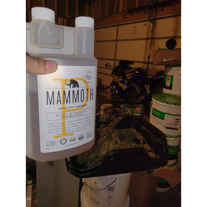 Mammoth P Bloom Booster- Organic Microbial 🎁 FREE SHIP 16% Increase Yields 15mL - Image 2