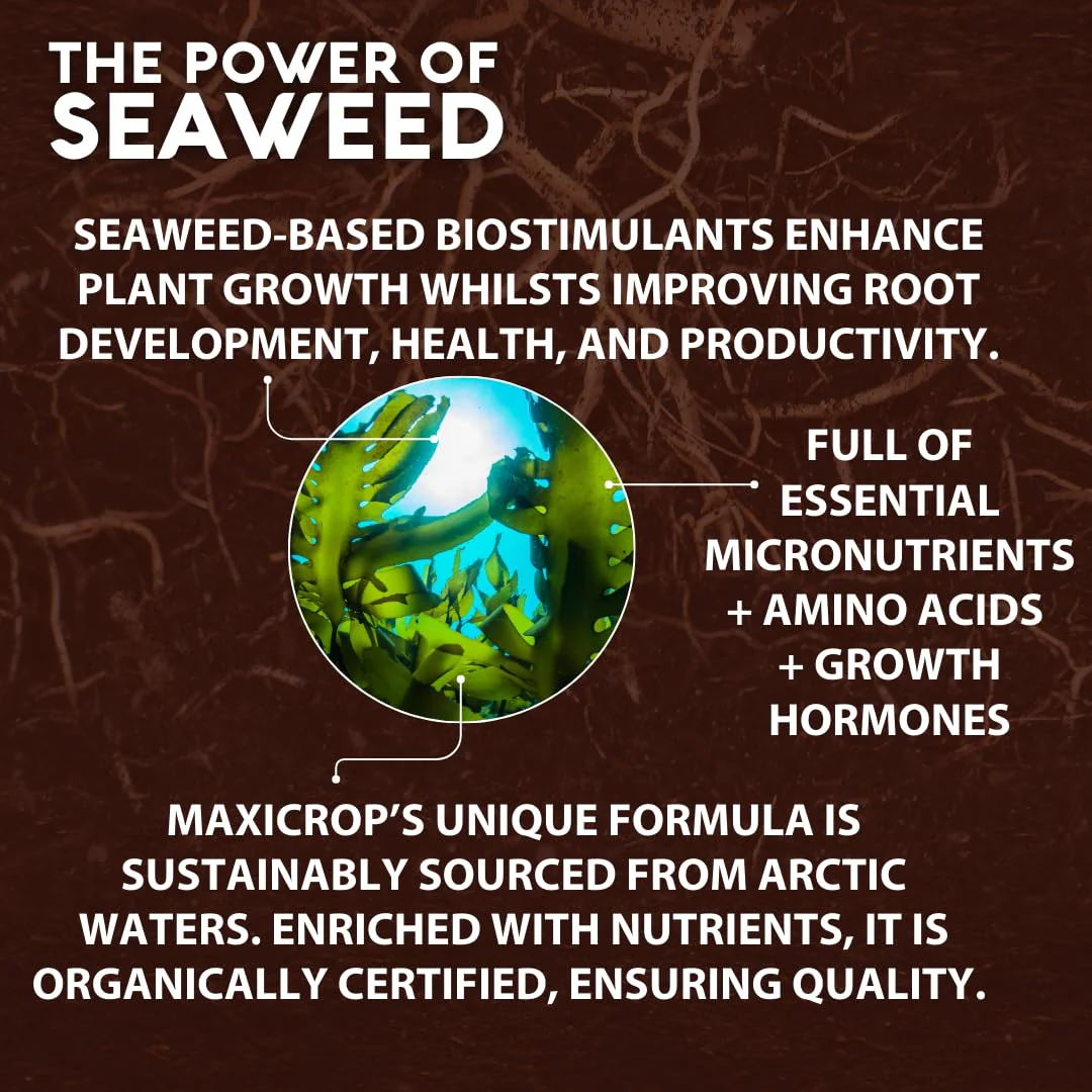 Maxicrop 140210 500ml Original Organic Seaweed Extract - Image 5