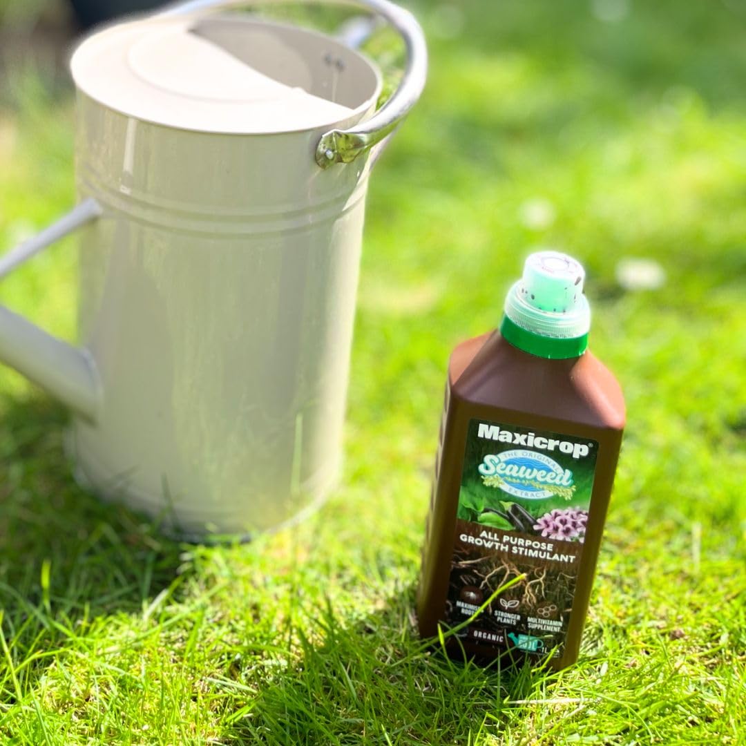 Maxicrop 140210 500ml Original Organic Seaweed Extract - Image 3