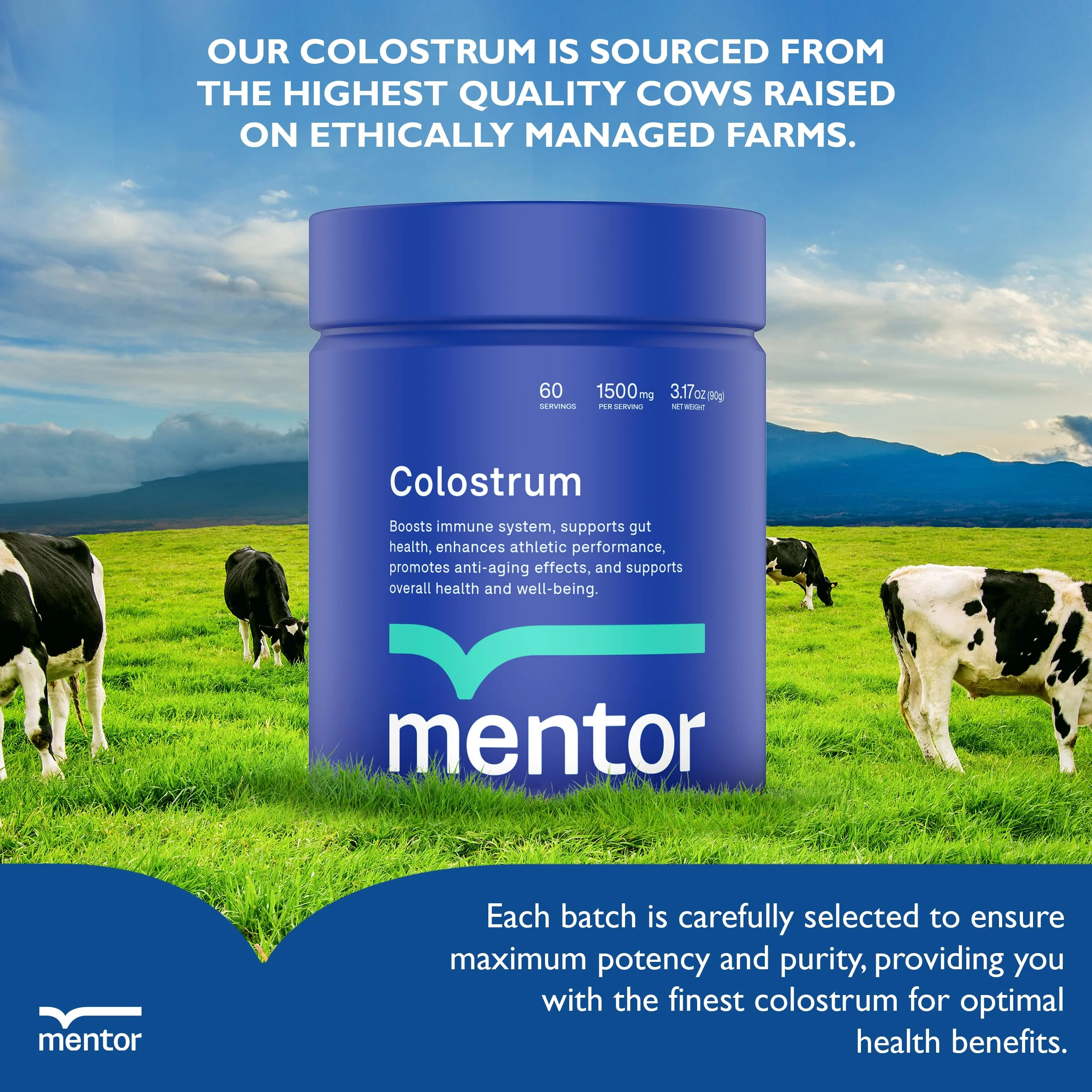 Mentor Colostrum Powder Supplement for Humans - Organic Bovine Colostrum Supplement for Gut Health, Hair Growth, Beauty, and Immune Support - Colostrum Protein - Image 3