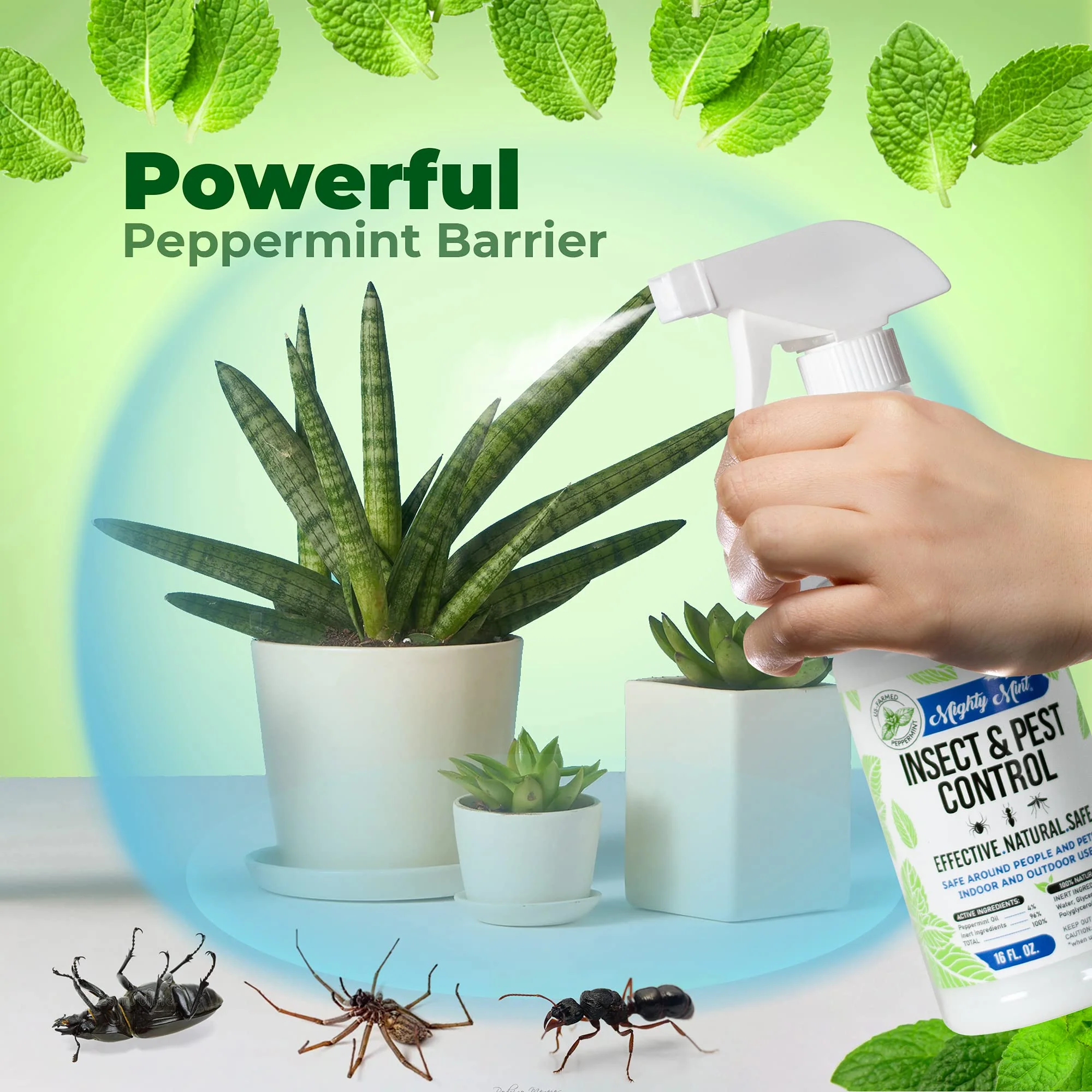 Mighty Mint Peppermint Oil Insect Repellent Spray – Natural Indoor & Outdoor Bug Control for Spiders, Ants, Roaches, and More – Plant-Based, Extra-Strong Formula - 16 oz - Image 7