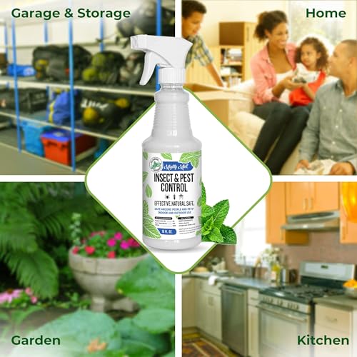 Mighty Mint Peppermint Oil Insect Repellent Spray – Natural Indoor & Outdoor Bug Control for Spiders, Ants, Roaches, and More – Plant-Based, Extra-Strong Formula - 16 oz (Pack of 2) - Image 7