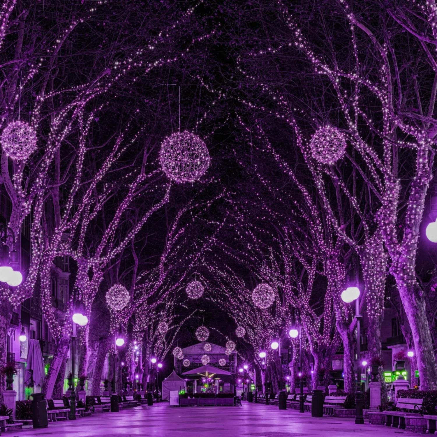 Minetom Halloween String Lights Outdoor, 66Feet 200 Led Purple Lights with 8 Lighting Modes for Halloween Garden Christmas Xmas Tree Lights Decor(Purple) - Image 3