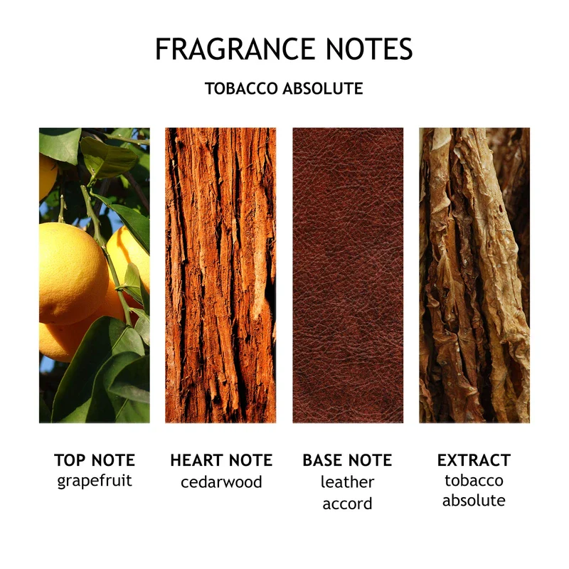 Molton Brown Tabak Absolute Deo, 1er Pack (1 x 150 ml) - Image 3
