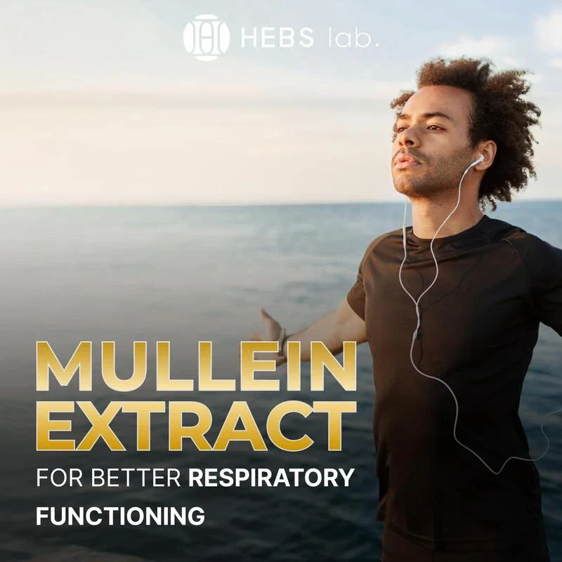 Mullein Drops - Mullein Leaf Extract - Wellness Supplement - Made in USA by HEBS lab. lung health support immune system gluten free vegan soy free - Specification: 2FL. Oz - Image 4