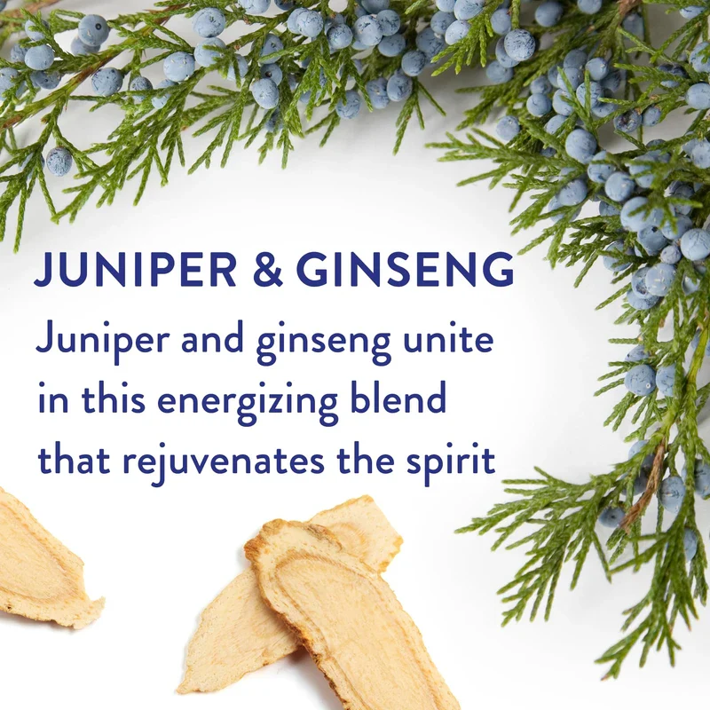 Native Deodorant Juniper and Ginseng - 2.65oz - Image 3