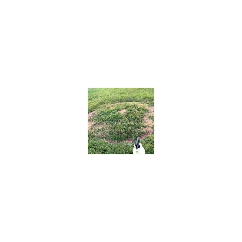 Natural Elements Weed Killer | Pet Safe, Safe Around Children | Natural Herbicide (1 Gallon) - Image 7