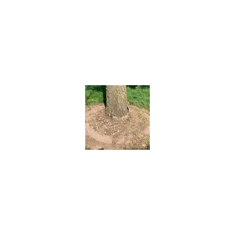 Natural Elements Weed Killer | Pet Safe, Safe Around Children | Natural Herbicide (1 Gallon) - Image 8