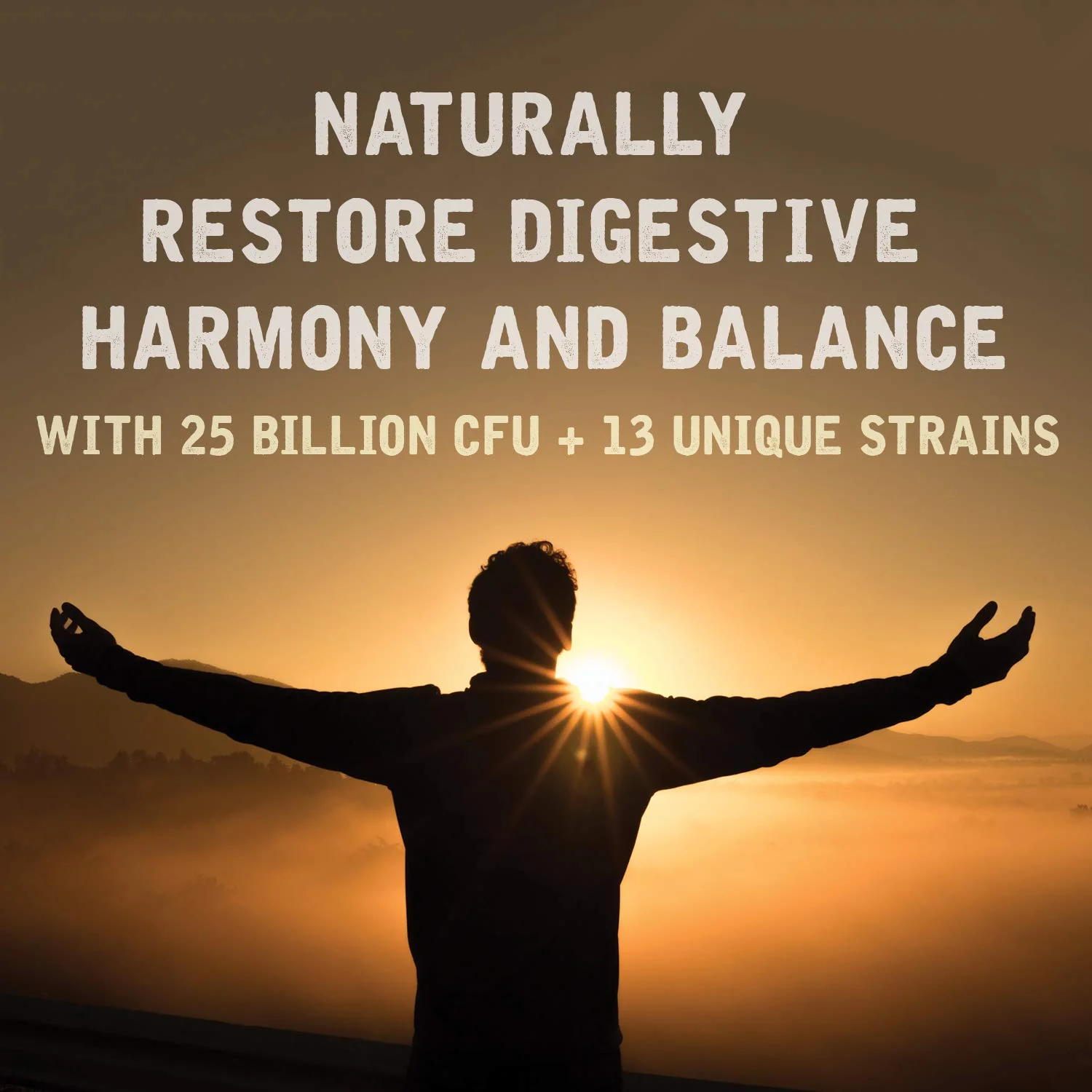 Natural Rhythm Digestive Calm Probiotic (Plus L-Glutamine) 25 Billion CFU and 13 Strains. - Natural Support for Better Digestion - for Bloating & Constipation + Gas Relief & Leaky Gut - 60 Capsules. - Image 5