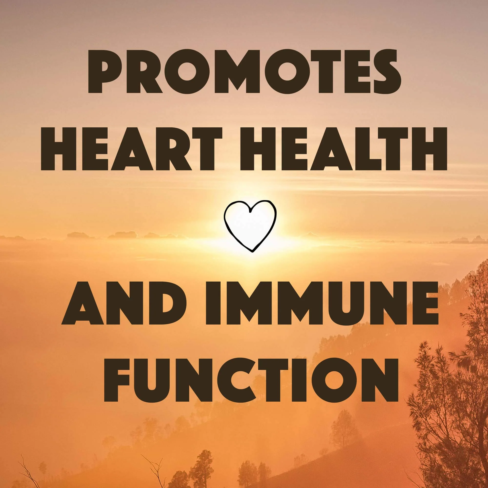 Natural Rhythm Vitamin D3 + K2 (MK7) Plus Vitamin A, for Bone, Heart, & Immune Health, 30 Capsules - Image 4