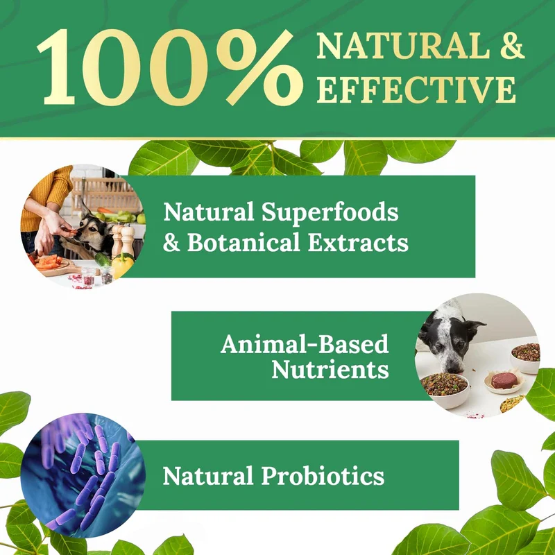 Natures NutriWave Pawbiotix Liquid probiotics for Dogs - Dog probiotics for Digestive Health | 100% Natural Dog Gut Health probiotics | probiotics for Dogs | Original Formula, Beacon Flavor, 1oz, 1 Month Supply - Image 5