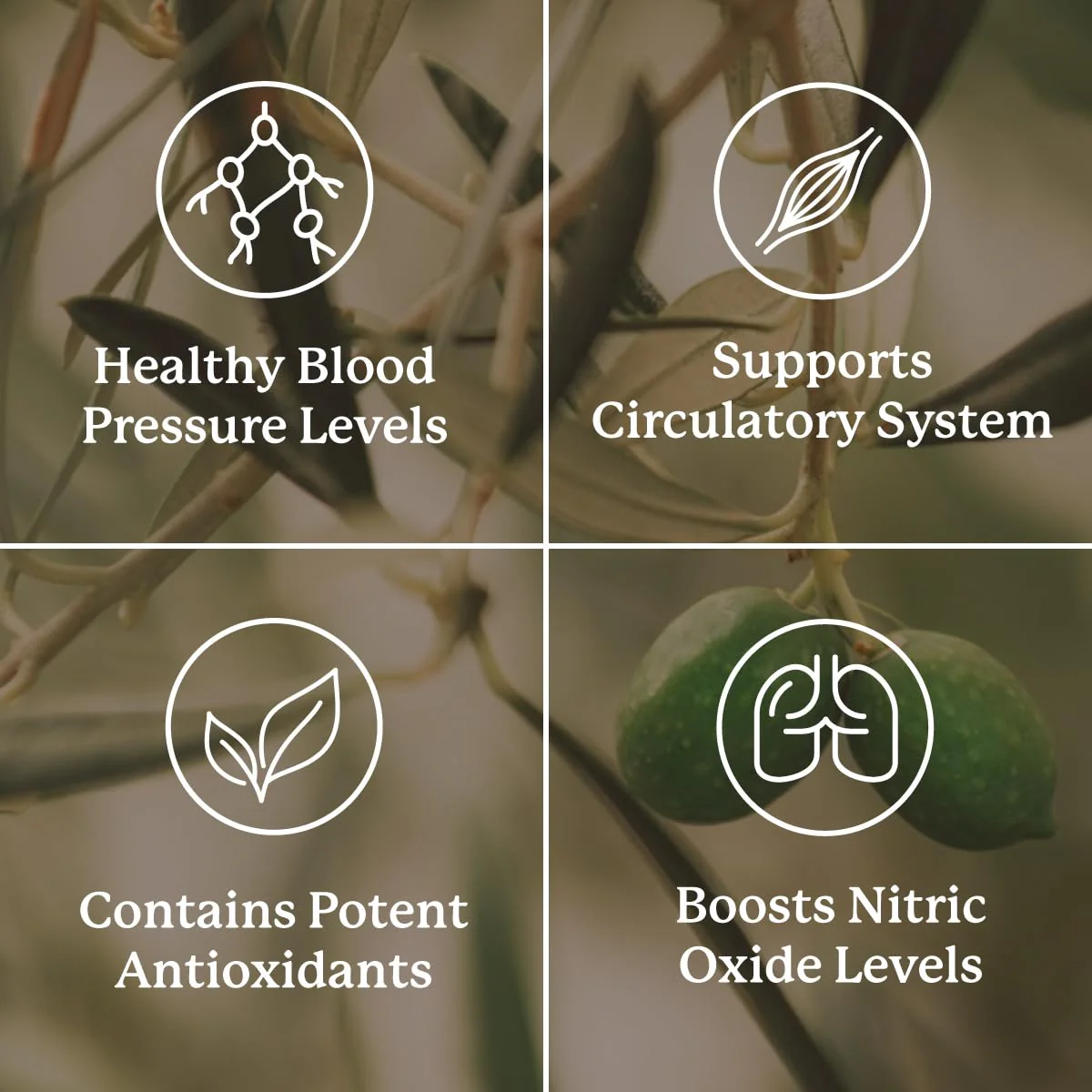 Nature's Sunshine Blood Pressurex 60 Capsules - Image 4