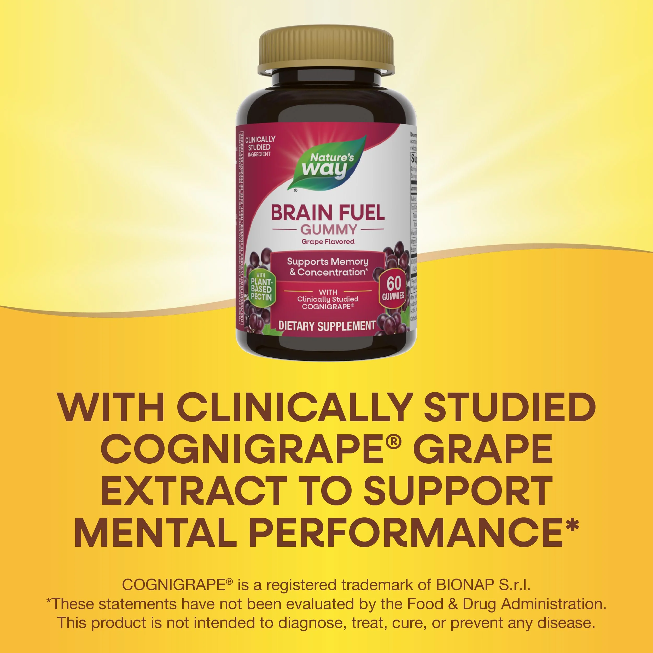 Nature's Way Brain Fuel, Supports Memory and Concentration*, Clinically Studied Cognigrape®, 60 Gummies, Grape Flavored - Image 5