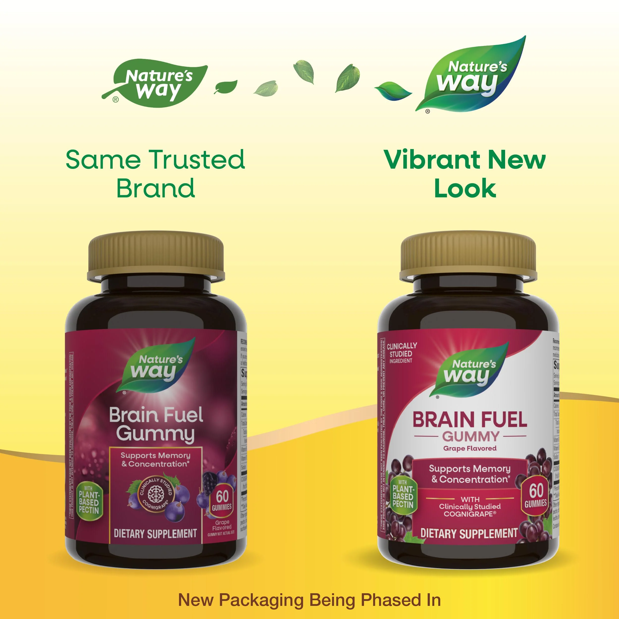 Nature's Way Brain Fuel, Supports Memory and Concentration*, Clinically Studied Cognigrape®, 60 Gummies, Grape Flavored - Image 7
