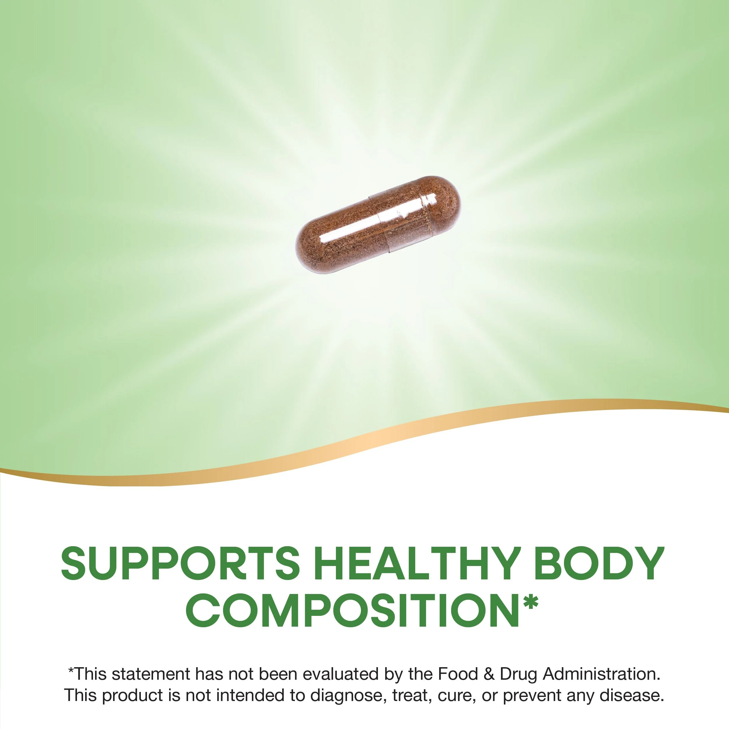 Nature's Way Forskohlii Standardized to Forskolin, Supports Healthy Body Composition*, 60 Vegan Capsules - Image 8