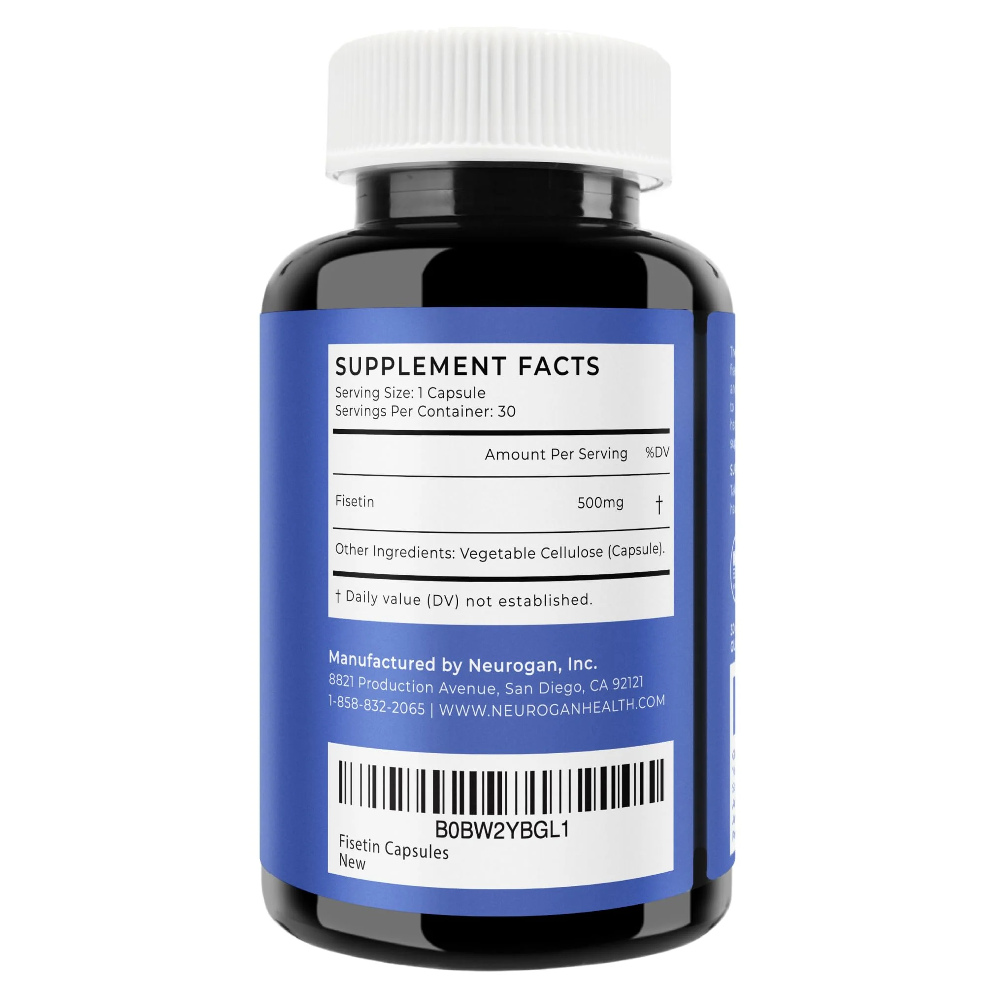 Neurogan Fisetin Supplement 500MG - 30 Count 98% Pure | Healthy-Aging & Brain Health Fisetin Capsules | Brain Supplements for Memory and Focus, Senolytic Support | Natural Polyphenols, Non-GMO - Image 8