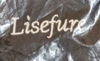 New Lisefure Skateboard Shoulder Carrier/Backpack/Carry Bag/Strap, Adjustable - Image 4