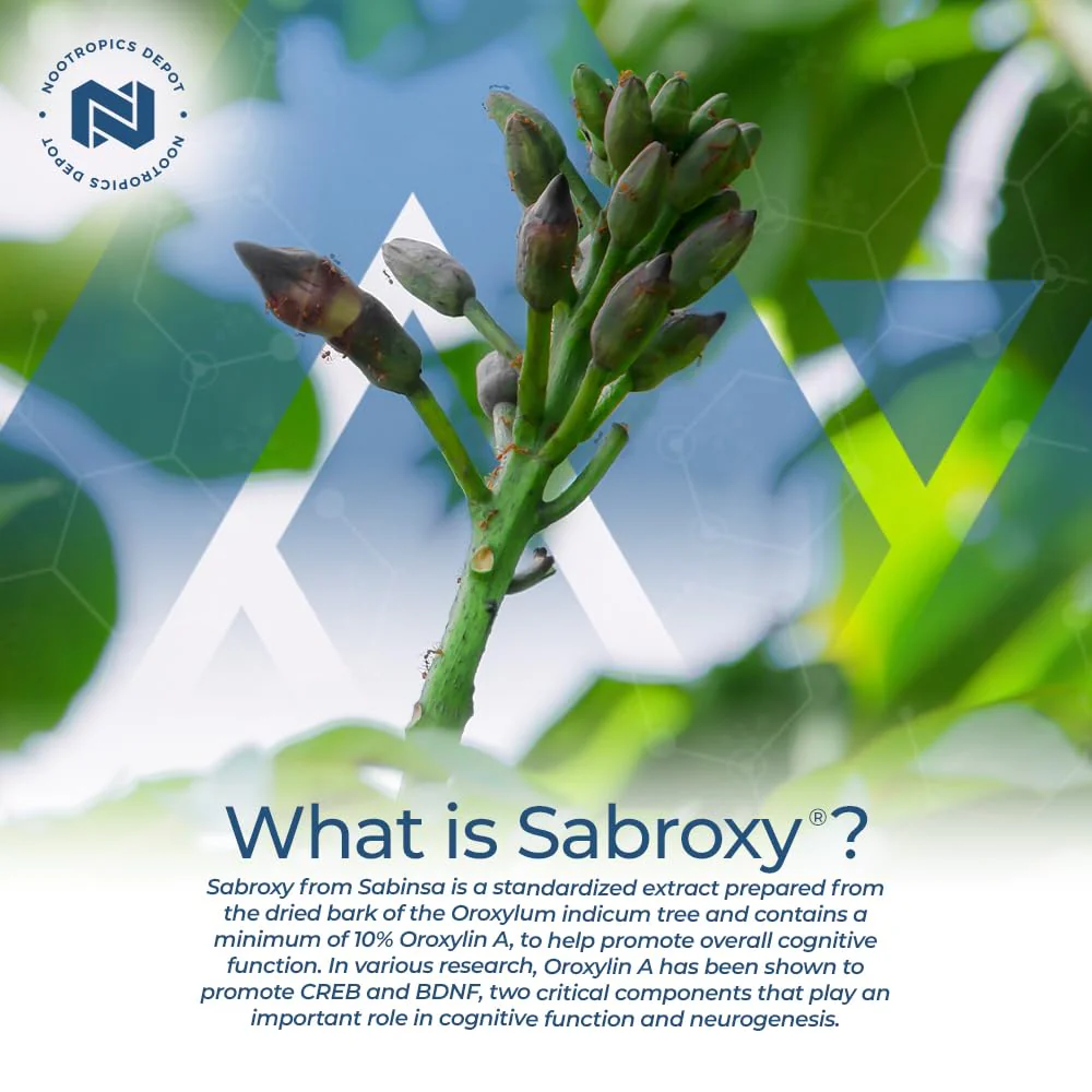 Nootropics Depot Sabroxy® Tablets | 100mg | 90 Count | Minimum 10% Oroxylin-A | Oroxylum indicum | May Help Promote Focus & Motivation | May Help Promote Cognitive Function - Image 5