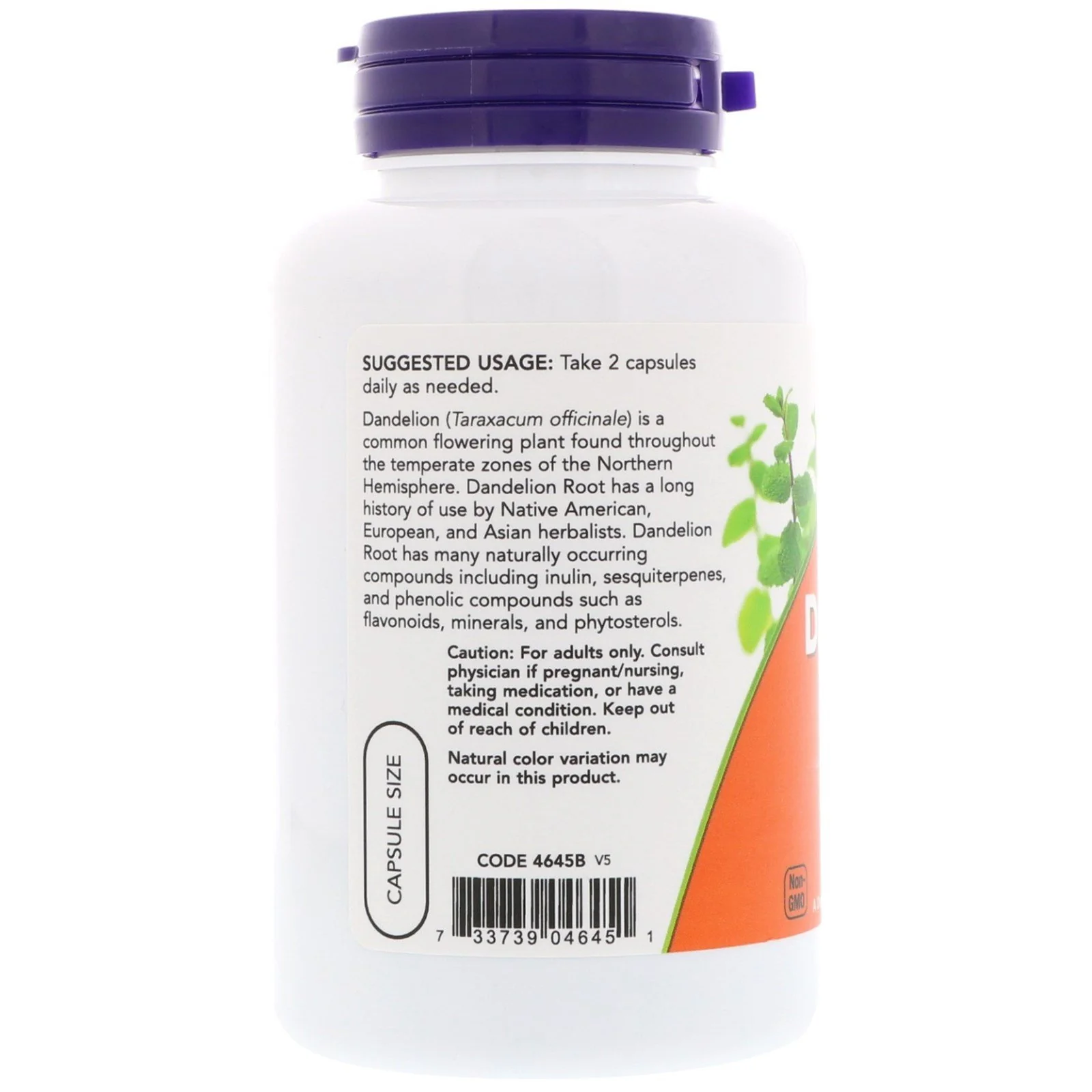 NOW Dandelion Root 500mg, 100 Capsules (Pack of 3) - Image 3