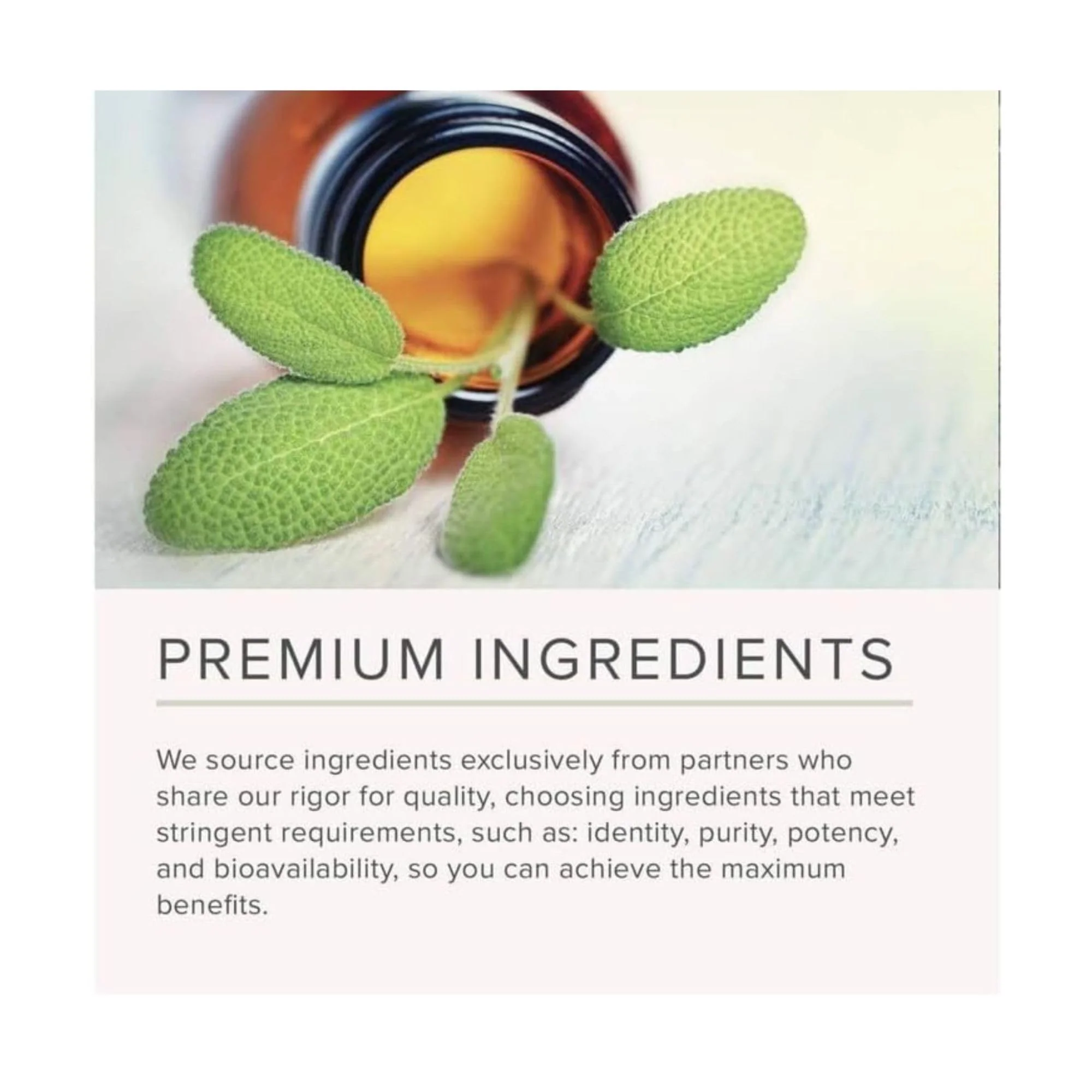 NusaPure Cardamom 4:1 Extract, 1000 mg Equivalent to 4,000mg 200 Vegetarian Capsules (Non-GMO, Vegan) - Image 3