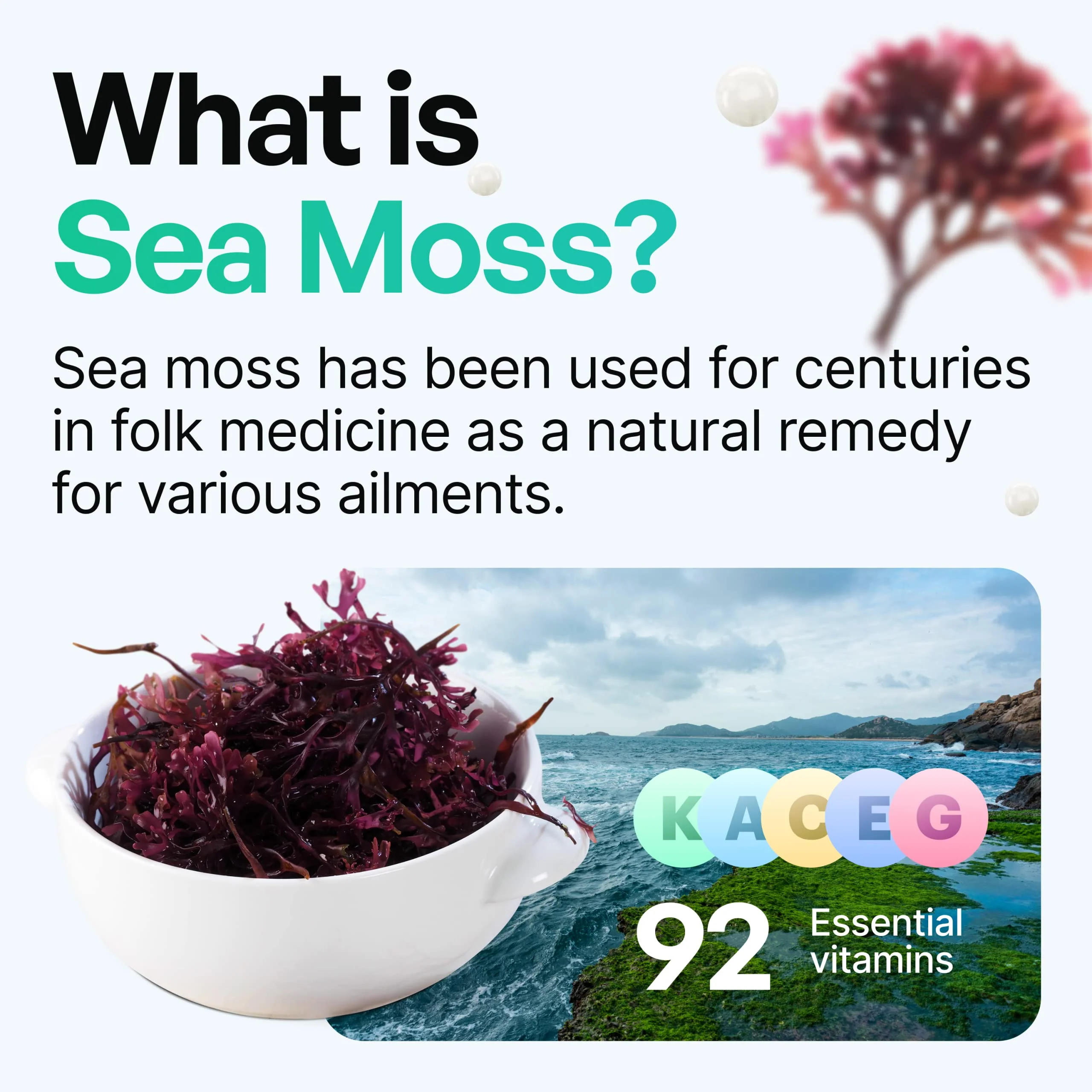 Organic Irish Sea Moss Pills - Wildcrafted Dr Sebi Inspired Seamoss Blend with Turmeric, Burdock Root & Bladderwrack, Enhanced with Black Pepper - 60 Capsules - Image 5