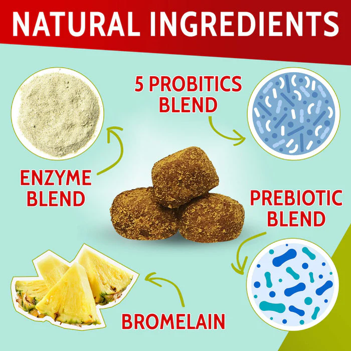 PAWFECTCHEW Dog Probiotics and Digestive Enzymes - Seasonal Allergy Support - Dog Gut Health Probiotics + Prebiotics for Dogs Digestive Health - Prevents Grass Burns - Image 4
