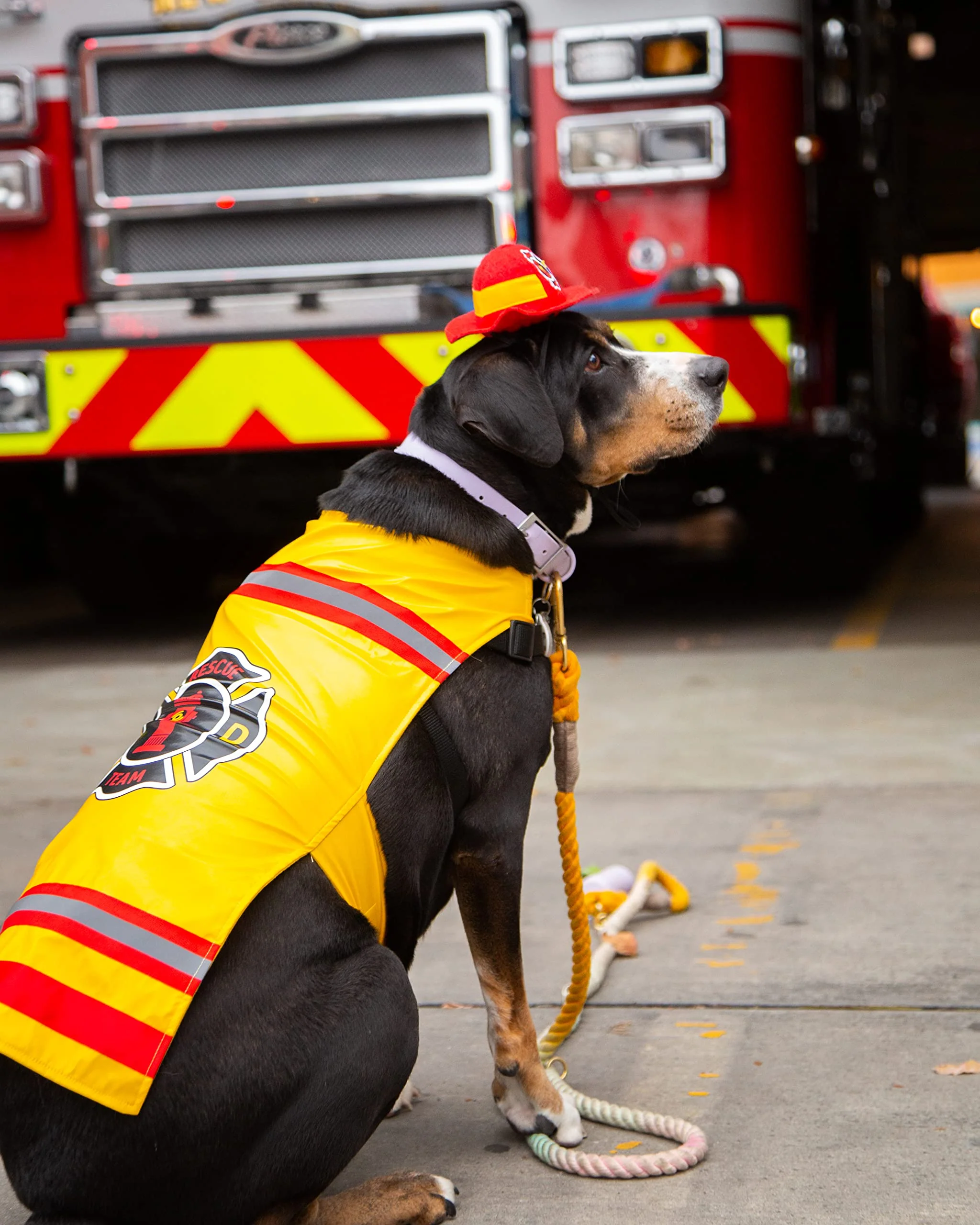 Pet Krewe Large Dog Firefighter Costume -Funny Halloween Pet Fireman Outfit Costumes for Fits Small, Medium, Large & Extra Large Pets - Perfect for Halloween, Christmas Holiday, Parties, Photoshoots - Image 3