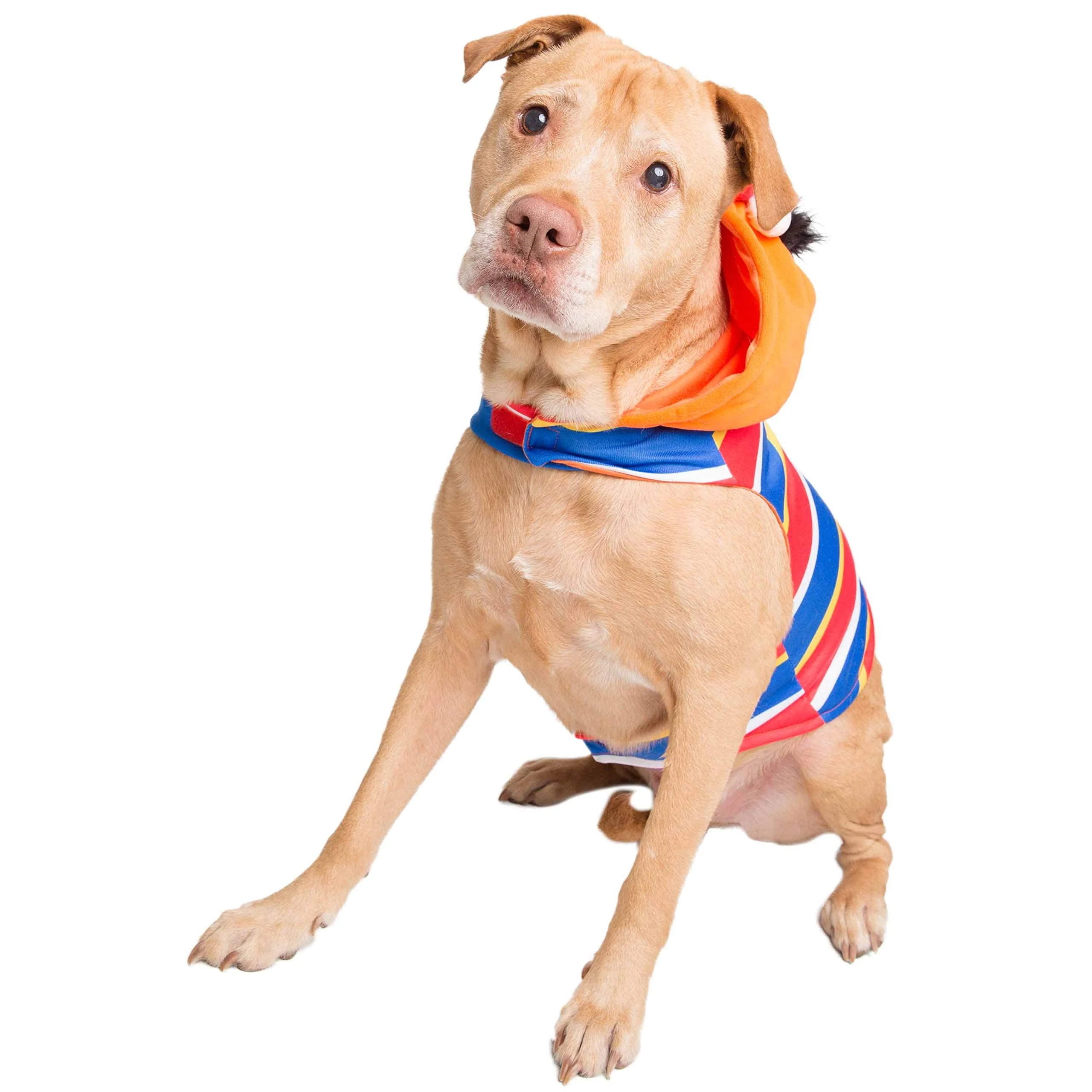 Pet Krewe Large Ernie Costume - Sesame Street Ernie Dog Costume - Fits Small, Medium, Large and Extra Large Pets - Perfect for Halloween, Christmas Holiday, Parties, Photoshoots, Gifts for Dog Lovers - Image 7