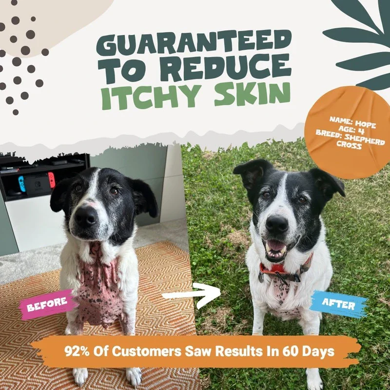 Pets Purest Scottish Salmon Oil – Omega 3, 6 & 9 Supplement for Dogs, Cats, & Pets – Supports Coat, Skin, Joints, and Brain Health - Image 2